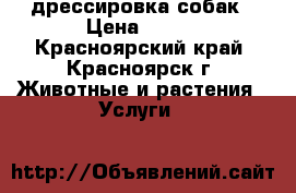 дрессировка собак › Цена ­ 500 - Красноярский край, Красноярск г. Животные и растения » Услуги   